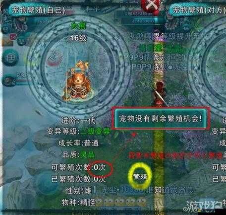 忘仙寵物裝備全面揭秘，掌握輕松卸下小技巧，助你游戲更順暢