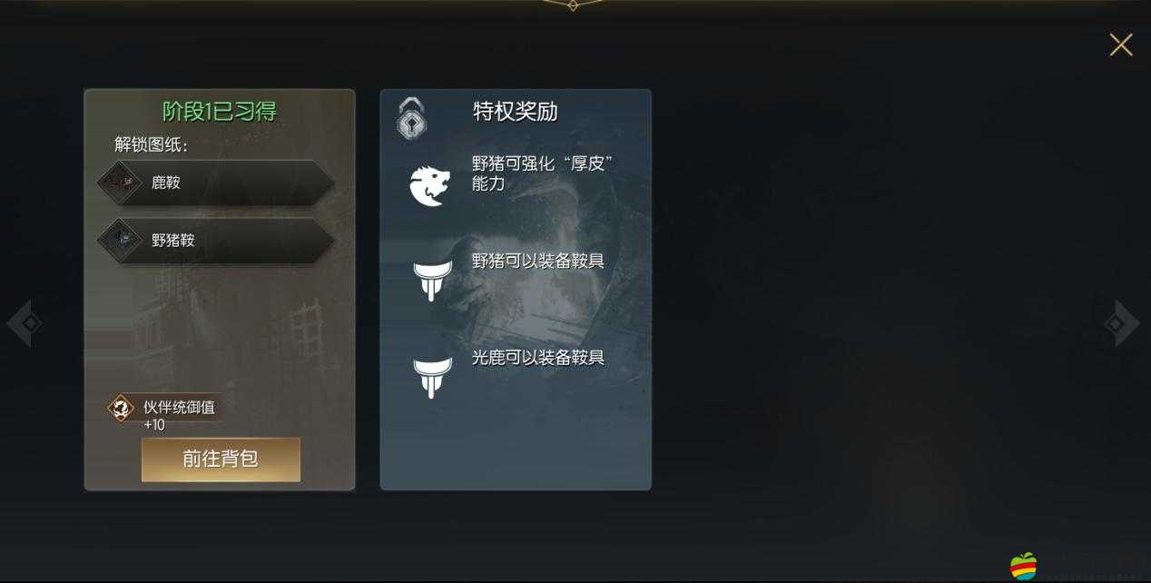 揭秘黑暗與光明世界，蜘蛛鞍的詳細(xì)制作流程與深度探索之旅