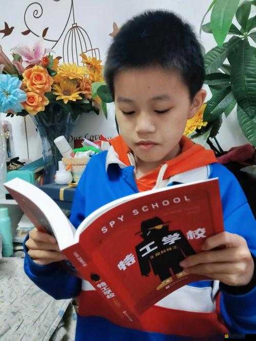 陳宮破關全攻略，揭秘智謀與勇氣并重的雙重考驗之路