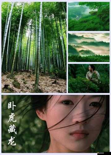 臥虎藏龍2，溫泉探秘之旅，竹海深處的溫暖浪漫邂逅體驗