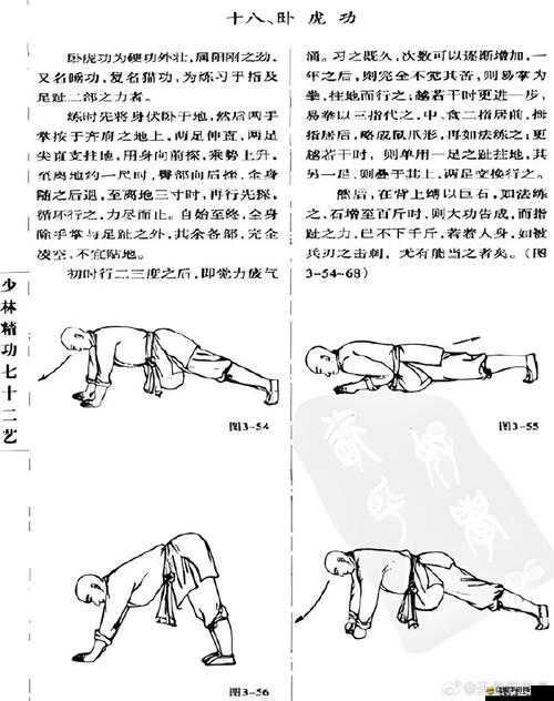 2025蛇年武俠新探索，掌握臥虎藏龍三段輕功技巧，解鎖武俠世界的自由翱翔之旅