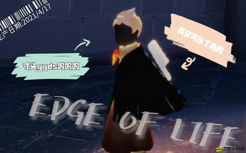 探索光遇游戲中寸頭角色那些令人費解的獨特穿搭風格