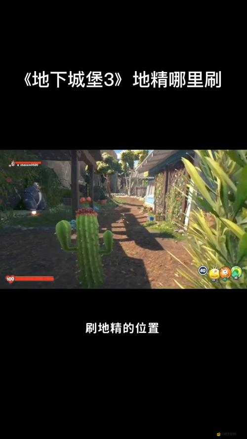 地下城堡3探險揭秘，探索地精兄弟精湛絕倫的挖掘藝術