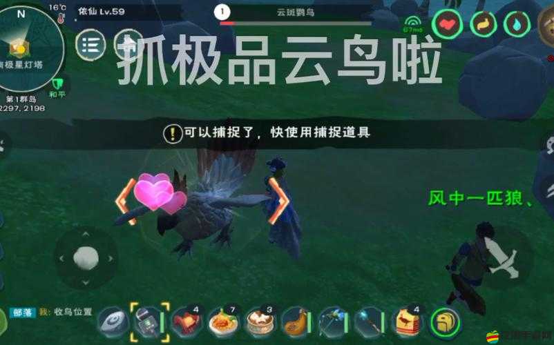 創造與魔法游戲攻略，如何捕捉云斑鸚鳥及適用捕捉武器詳解