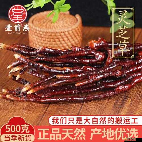 探究斗羅大陸中的中草藥種類及靈芝在其中的神奇功效與作用