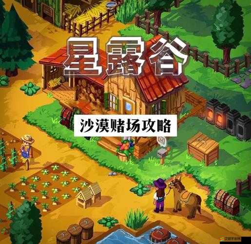 星露谷物語深度探索，解鎖沙漠賭場，踏上一場充滿未知的神秘之旅