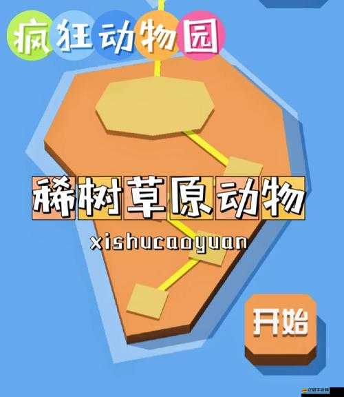 瘋狂動物園羽毛頭飾全圖鑒，揭秘打造個性化動物園時尚的獨特密碼