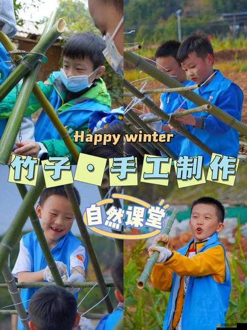 放置江湖中竹林探險全攻略，如何巧妙行走于武俠世界的竹海秘境