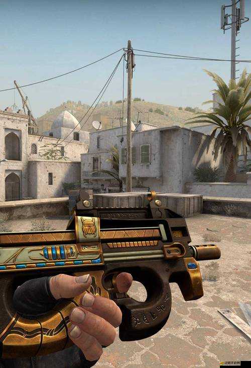 揭秘CSGO皮膚獲取秘籍，跟我學，你也能成為皮膚收藏大師嗎？