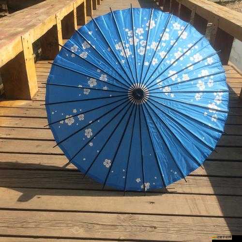 唐紙妖傘究竟何處最多？全面攻略指南，揭秘無人知曉的秘密地點？