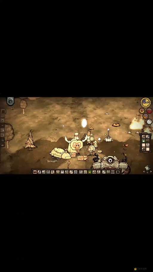 饑荒暖石冬夏兩用秘訣何在？全面解析與高效策略建議揭秘