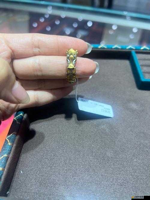 龍戒游戲中鉆石如何高效獲取？全面揭秘鉆石獲取攻略大全！