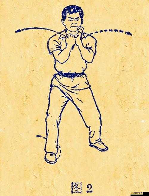 拳擊俱樂部，虎系空手道與龜系王八拳實戰心得如何演變？