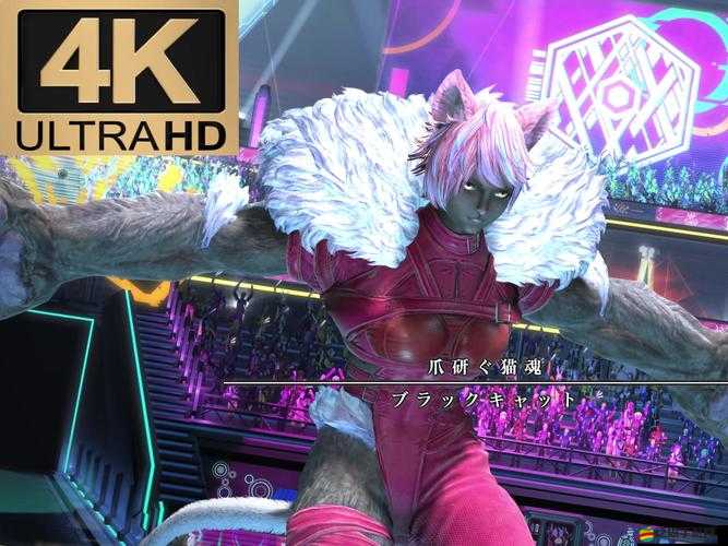 最終幻想零式OL英雄陣容怎樣搭配才最強？搭配攻略揭秘！