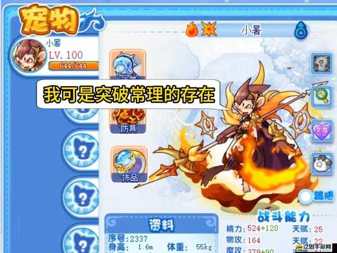 洛克王國寵物橙裝究竟如何獲得？揭秘高效獲取方法！