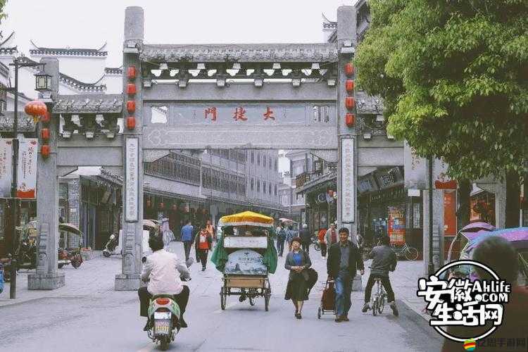 蜀山戰役中坐騎如何助戰？詳解介紹、深度解析及實戰攻略揭秘