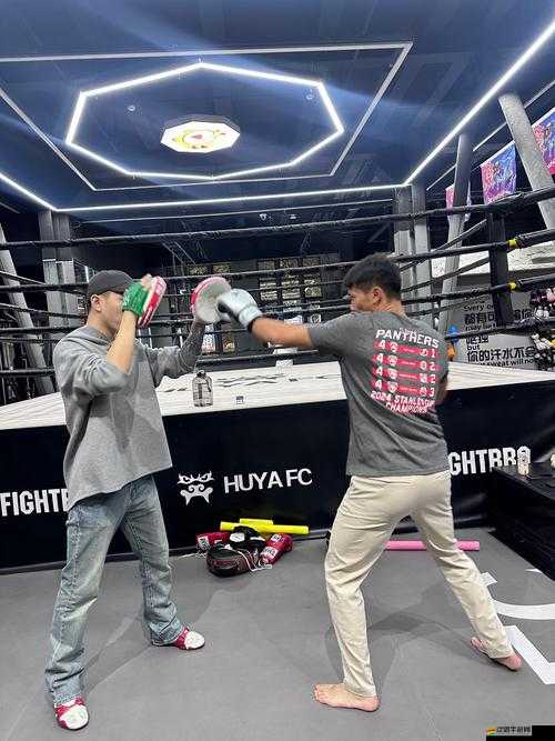 拳擊俱樂部如何應對腦震蕩問題？玩法革命的未來又將如何展望？