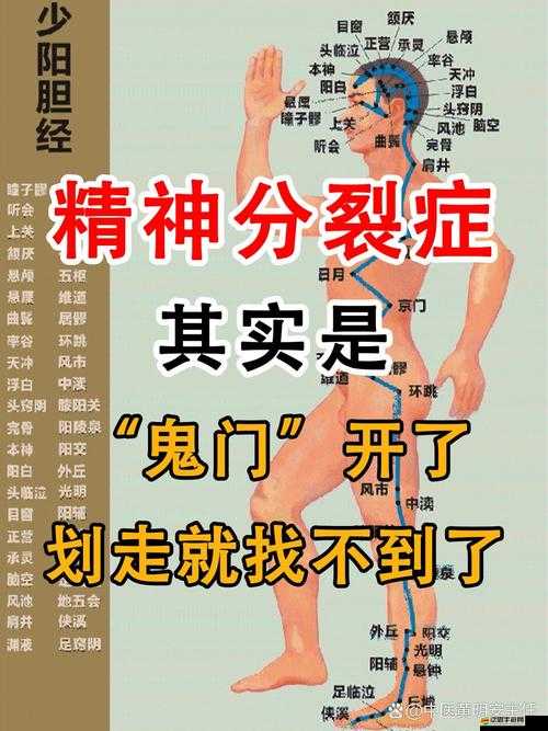 東邪西毒修煉系統究竟有何奧秘？全面詳解帶你一探究竟！