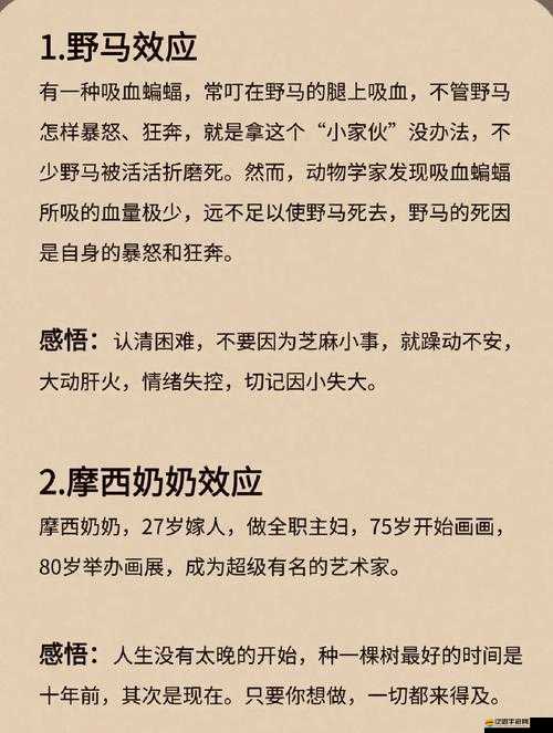 幻想勇者傳侍寵精靈怎么玩？底層邏輯與實(shí)戰(zhàn)操作全揭秘！