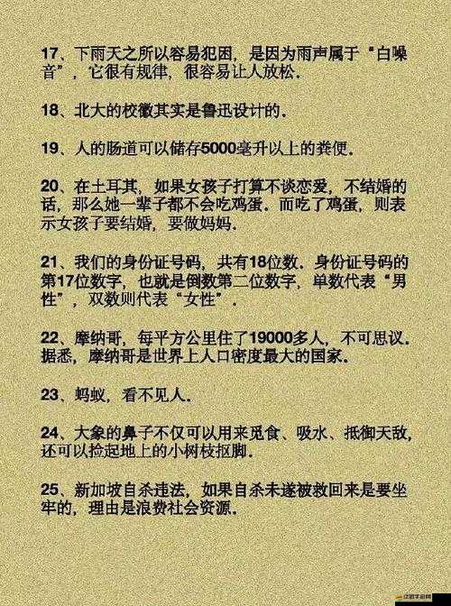 夜夜三國揭秘，還有哪些你未曾知曉的冷門知識？