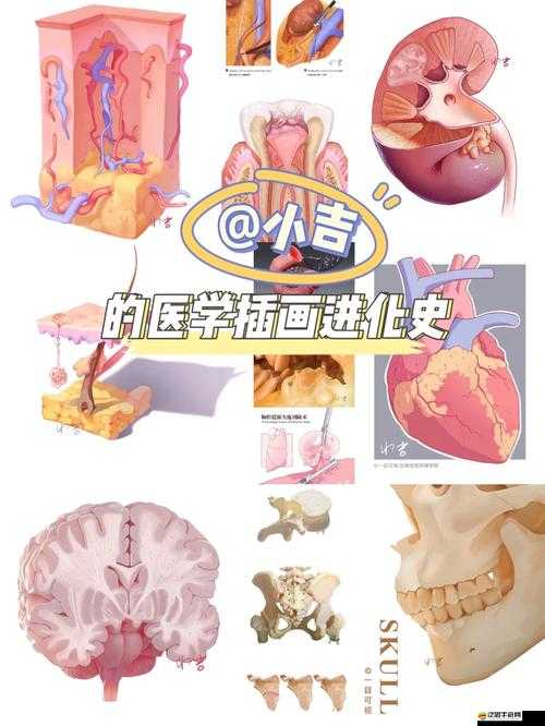 超脫力醫院病理圖鑒全揭秘，強迫癥的演變史專題，你了解多少？