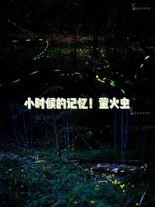 崩潰大陸Boss戰如何輕松取勝？螢火蟲擊殺技巧揭秘！