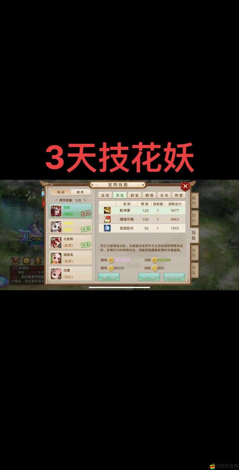 全民斬仙寵物系統全揭秘，寵物技能如何搭配才能制霸仙界？