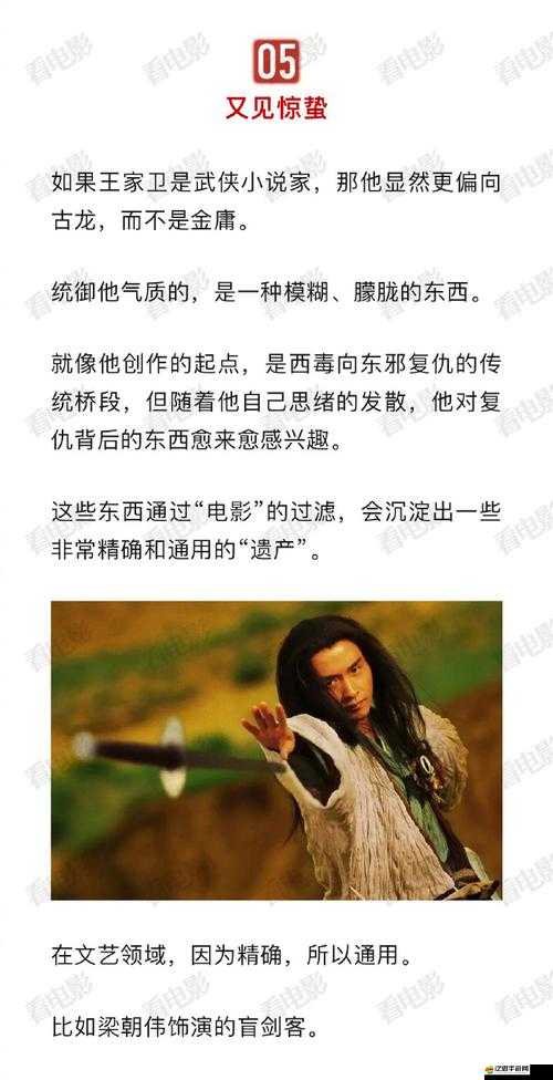 東邪西毒俠客類型各異，全階段攻略指南何在？揭秘不同俠客成長之謎！