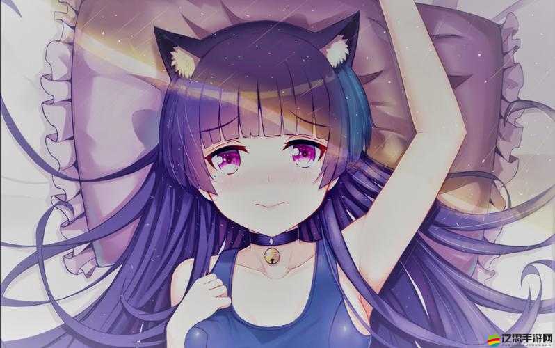 曙光先鋒法蘭爾如何成為爆發(fā)控場大師？終極法術(shù)英雄攻略揭秘！