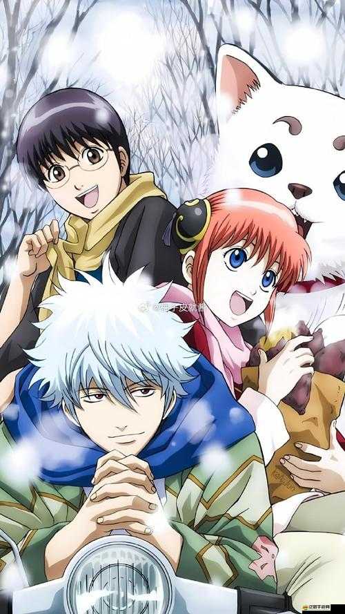 銀時之魂中志村新八如何成為吐槽之王？全面攻略揭秘傲視群雄秘訣！