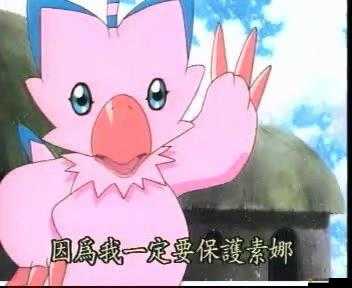 進化吧數碼獸之比丘獸，數字世界冒險將如何迎來革新與突變？