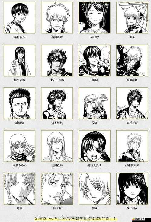 銀時(shí)之魂主角組卷毛眼鏡腹黑女有何獨(dú)特魅力？揭秘其資源管理策略！