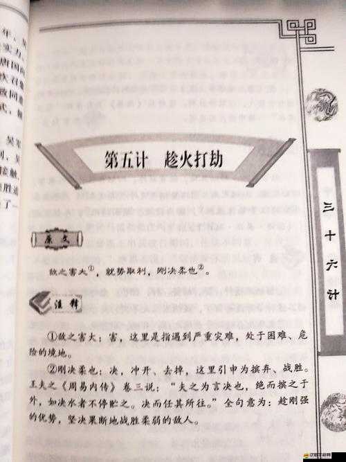 刀鋒無雙三十六計(jì)揭秘，攻城機(jī)甲如何運(yùn)用趁火打劫的戰(zhàn)術(shù)智慧？