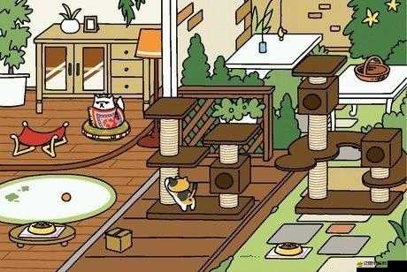 貓咪后院快速獲取小魚干的秘訣究竟是什么？