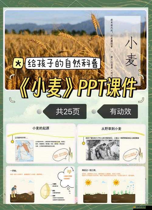 生存戰爭中小麥消失怎么辦？探索解決辦法的歷史演變之謎