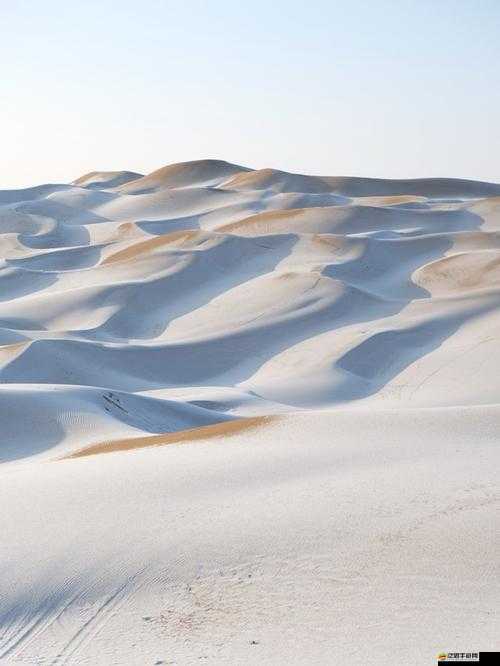 如何在生存戰(zhàn)爭(zhēng)中征服白色沙漠？全面玩法教程詳解