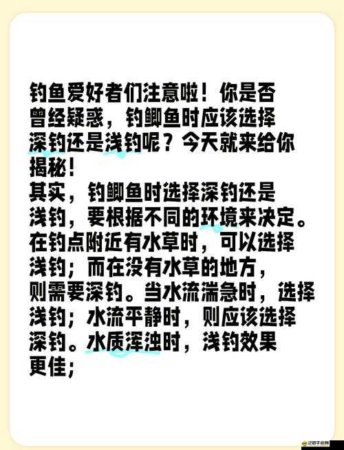 釣魚發(fā)燒友必備，釣魚技巧攻略與玩家心得分享，你真的掌握了嗎？