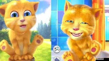 會說話的金杰到底怎么玩？深度玩法介紹與解析揭秘懸念！