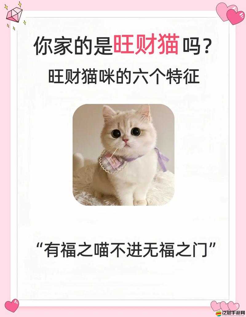 天天炫斗布魯如何巧妙運用，才能奪得招財貓高分秘籍？