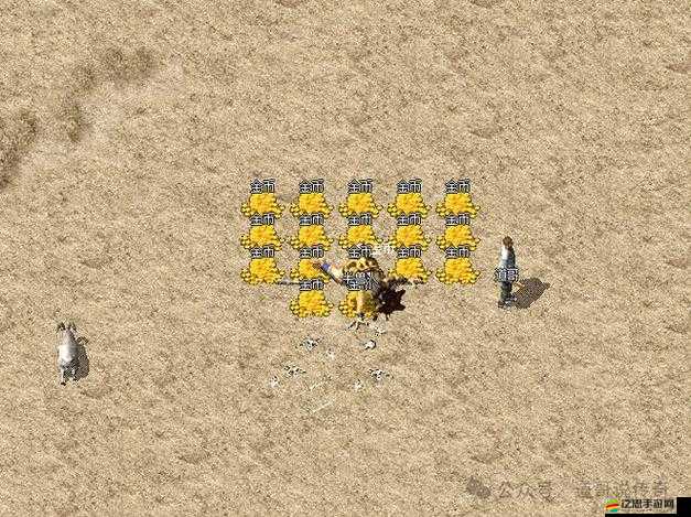 如何點爆傳奇金幣？從新手到精通的全面攻略揭秘！