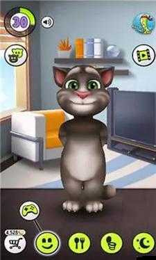 會說話的湯姆貓手游，臥室玩法有哪些隱藏技巧？揭秘心得攻略！