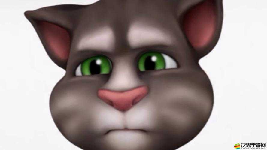 會說話的湯姆貓如何解鎖？探索面部運(yùn)動表現(xiàn)的趣味攻略揭秘！