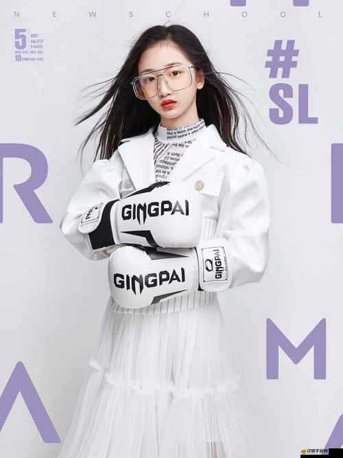 拳擊少女精英爭霸，熱血夢想舞臺綻放，誰能問鼎最終王者？