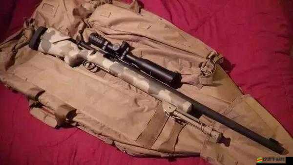 抗戰3D武器揭秘，援軍狙擊槍如何使用才能威力最大化？