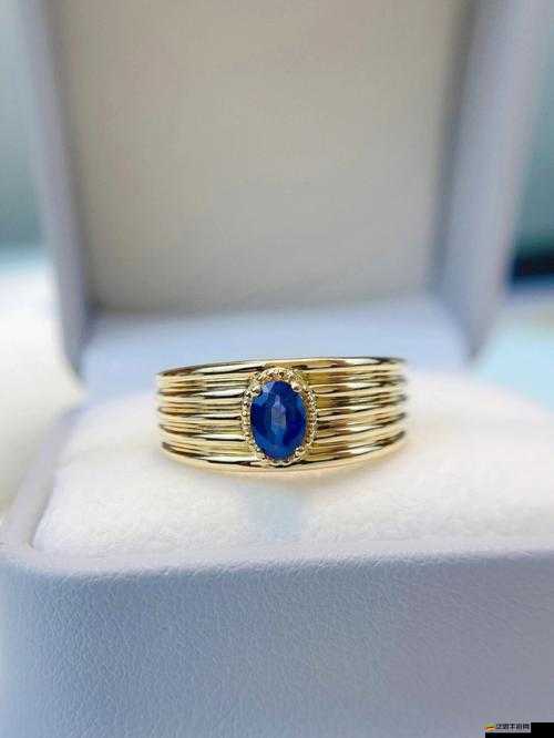 墮落泰坦首飾揭秘，踐踏之心戒指如何高效管理資源成懸念？