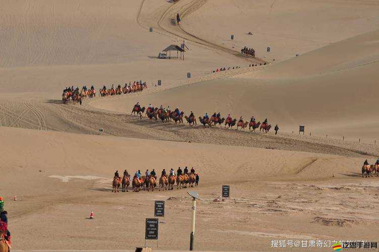 西域仙游奇遇，與妹紙共赴奇幻，寂寞真的能成路人嗎？