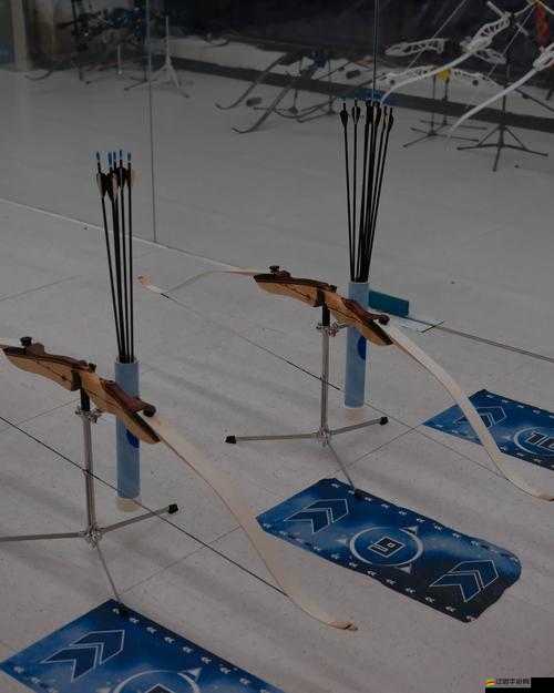 我的英雄弓箭手，職業技能如何演變？揭秘其成長歷程的懸念