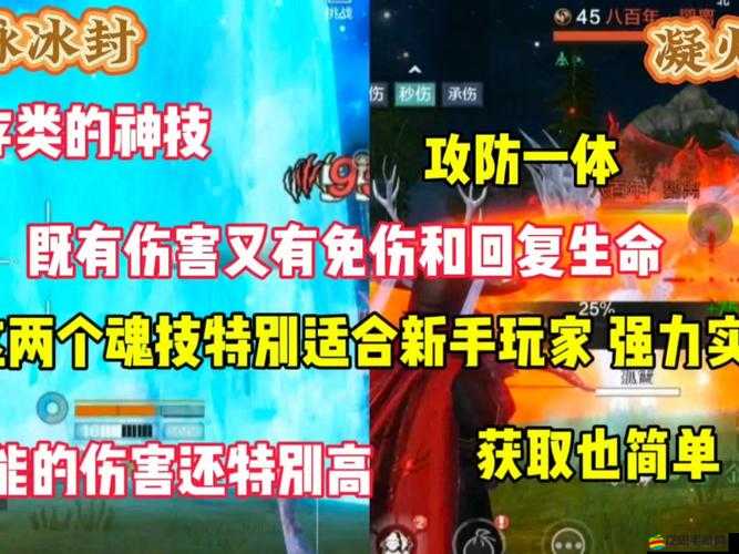 武魂OL中反傷加免傷技能如何搭配使用？玩法詳解揭秘！