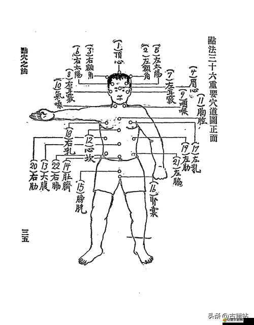 武魂OL中究竟隱藏著哪些拳法秘籍？全面拳法秘籍大全揭秘！