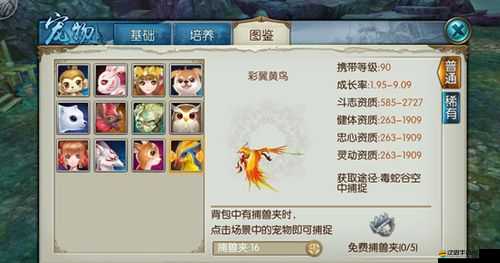 修仙世界寵物如何高效抓捕？揭秘頂級捕捉技巧懸念揭曉！